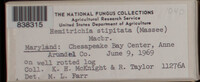 Image Associated With the Occurence